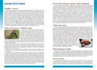 Гриби України. Атлас-довідник — Марина Сухомлин, Вероніка Джаган #5