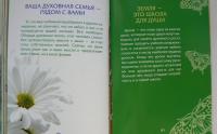 Как исцелить скорбящее сердце — Вирче Дорин, Ван Прааг Джеймс #19