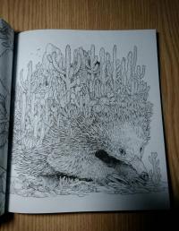 Мироморфозы. Экстремальные раскраски — Керби Розанес #5