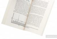 Техники Радикального Прощения. Радикальное проявление — Колин Типпинг #6