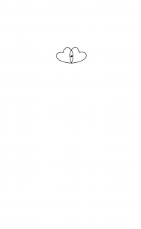 Техники Радикального Прощения. Радикальное проявление — Колин Типпинг #7