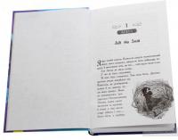 Школа добра і зла. Кристал часу. Книга 5 — Зоман Чейнани #4