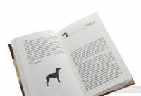 Зграя. Книга 1. Спорожніле місто — Эрин Хантер #5