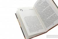 Зграя. Книга 1. Спорожніле місто — Эрин Хантер #6