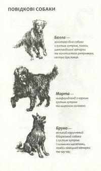 Зграя. Книга 1. Спорожніле місто — Эрин Хантер #8