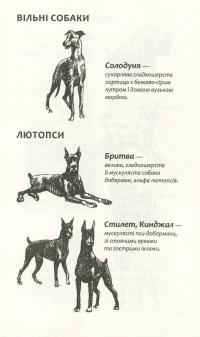 Зграя. Книга 1. Спорожніле місто — Эрин Хантер #10