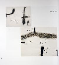 Книга Алхімія кольору. Історії. Тіберій Сілваші — Алла Шорина, Григорий-Георгий Пилипенко #5