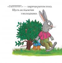 Книга Шусть і Шуня. Приязний равлик — Аксель Шеффлер, Камилла Рейд #8