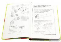 Книга Лотта та її "катастрофи". Останній цьомчик лося — Алис Пантермюллер #5