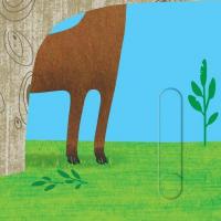 Книга У лісі. Книжка з подвійним секретом — Василий Федиенко, Сергей Цушко #10