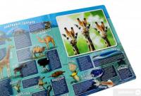 Книга Дивовижний світ #7