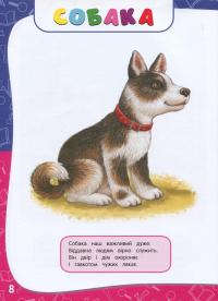 Книга Академія дошкільних наук. Для дітей 1-2 років — Анастасия Далидович, Таисия Мазаник, Надежда Цивилько #5
