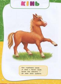 Книга Академія дошкільних наук. Для дітей 1-2 років — Анастасия Далидович, Таисия Мазаник, Надежда Цивилько #7