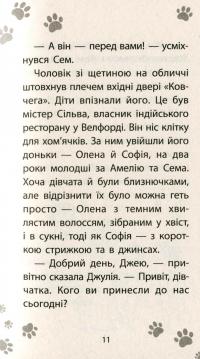 Книга Історії порятунку. Книга 6. Хом'ячок утікач — Люси Дэниелс #10