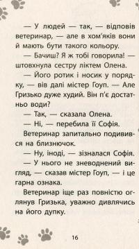 Книга Історії порятунку. Книга 6. Хом'ячок утікач — Люси Дэниелс #15