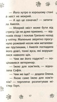 Книга Історії порятунку. Книга 6. Хом'ячок утікач — Люси Дэниелс #16