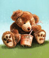 Книга Пригоди ведмедика Меді. Гайда за бджілкою! — Гэрри Флеминг #5