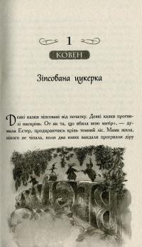 Книга Школа добра і зла. Єдиний Істинний король — Соман Чайнани #3