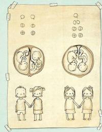 Книга Не в капусті й не лелека — Анна Герцог #12