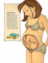 Книга Не в капусті й не лелека — Анна Герцог #14