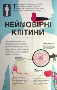 Книга Неймовірна пригода. Бути людиною. Твоє надзвичайне тіло та як у ньому жити — Макс Пембертон #6