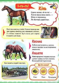 Книга Моя перша книга. Про свійських тварин #3