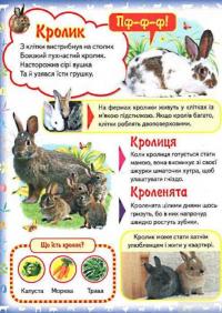 Книга Моя перша книга. Про свійських тварин #4