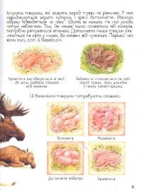 Книга Дивовижний світ тварин. Мами та малюки #10