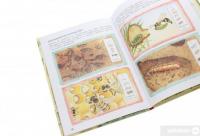 Книга Дивовижний світ тварин. Хто вилупився з яйця? #6