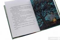 Книга Чотири князівни — Олександра Орлова #5
