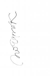 Книга Писати як дихати. 62 дні творчої свободи — Таис Золотковская #5