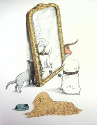 Книга Собаки і коти з погляду науковців — Антонио Фискетти #11