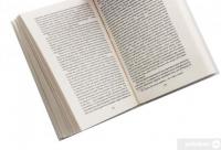 Книга Система доктора Смолла і професора Піріа — Эдгар Аллан По #5