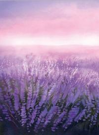 Книга Вересова Міль — Оксана Була #2