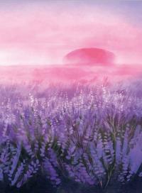 Книга Вересова Міль — Оксана Була #3