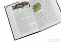 Книга А что по фактам? Сотворение VS. эволюция — Шелби Макфарлейн #5