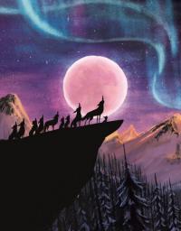 Книга Вовк шукає шлях до зграї — Рэйчел Брайт, Джим Филд #2