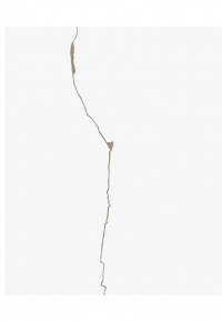 Кінцуґі. Поетичне лагодження — Бонні Кемске #2