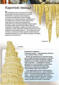 Дитяча енциклопедія. Дива планети Земля #4