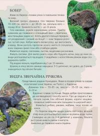 Перлини природи України — Тетяна Станкевич #4