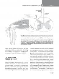 Остеопатическая мануальная медицина в педиатрии (в 2-х томах) — Джейн Каррейро #12