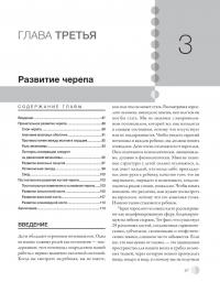 Остеопатическая мануальная медицина в педиатрии (в 2-х томах) — Джейн Каррейро #19