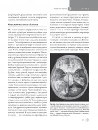Остеопатическая мануальная медицина в педиатрии (в 2-х томах) — Джейн Каррейро #23