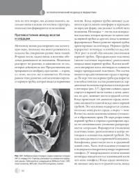 Остеопатическая мануальная медицина в педиатрии (в 2-х томах) — Джейн Каррейро #24
