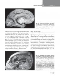 Остеопатическая мануальная медицина в педиатрии (в 2-х томах) — Джейн Каррейро #25