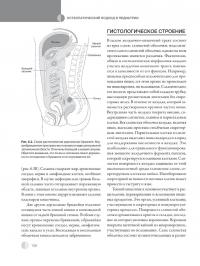 Остеопатическая мануальная медицина в педиатрии (в 2-х томах) — Джейн Каррейро #29