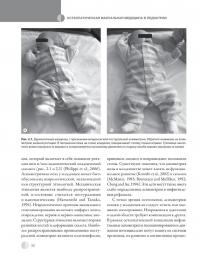 Остеопатическая мануальная медицина в педиатрии (в 2-х томах) — Джейн Каррейро #40