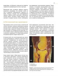 Кость — величайшая тайна — Джо Буекенс #19