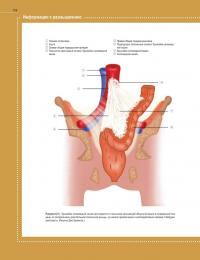 Кость — величайшая тайна — Джо Буекенс #20