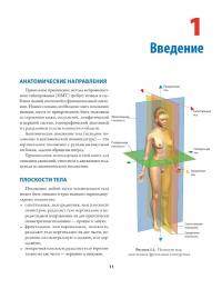 Нейромышечный тейпинг. От теории к практике — Девід Блоу #10